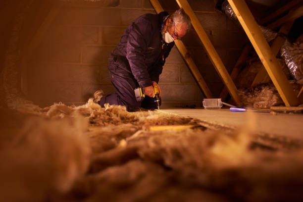Professional Insulation Contractor in Mcqueeney, TX