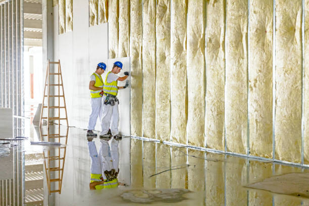 Best Residential Insulation in Mcqueeney, TX